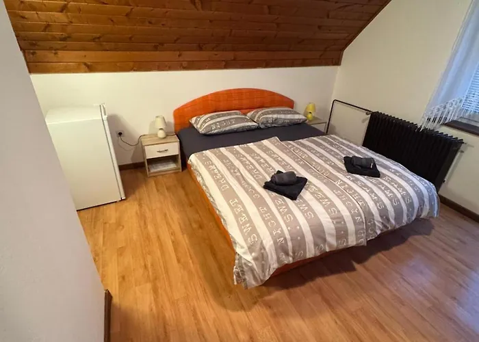 Maretc Nastanitev v družini Bohinj